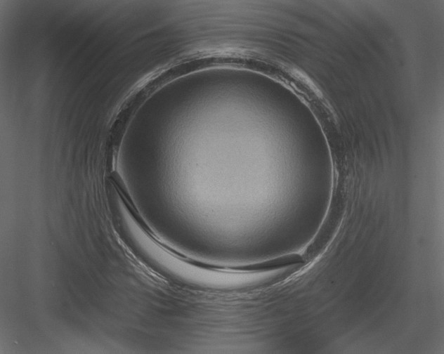 X0000084030922200702232254