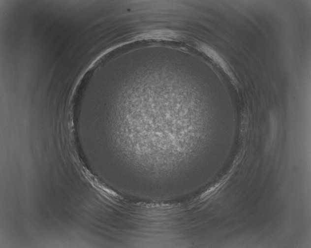 X0000084030923200702232254