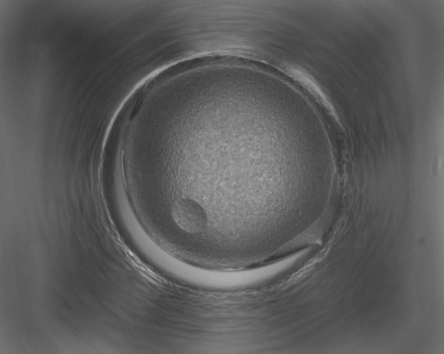 X0000084030924200702232254