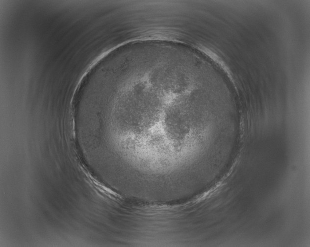 X0000084030925200702232254