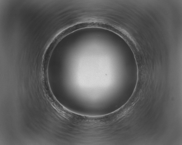 X0000084030927200702232254