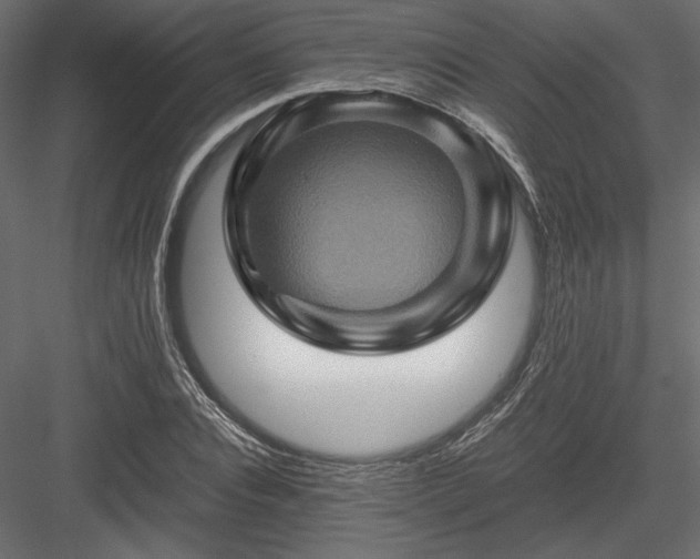 X0000084030928200702232254