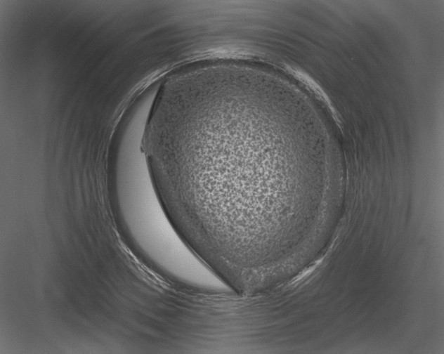 X0000084030930200702232254