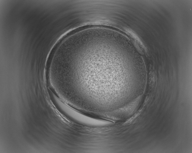 X0000084030932200702232254