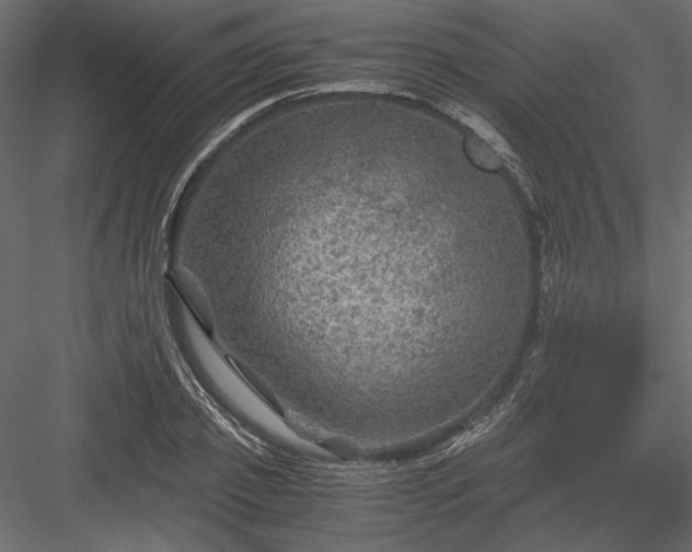 X0000084030933200702232254