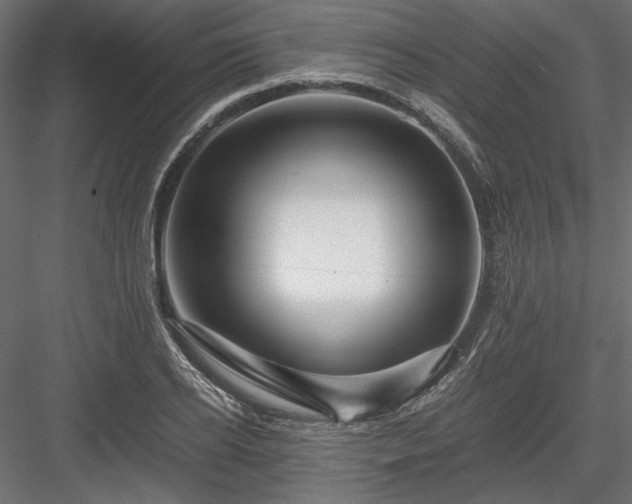 X0000084030934200702232254