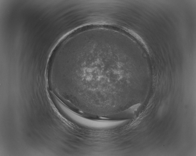 X0000084030935200702232254