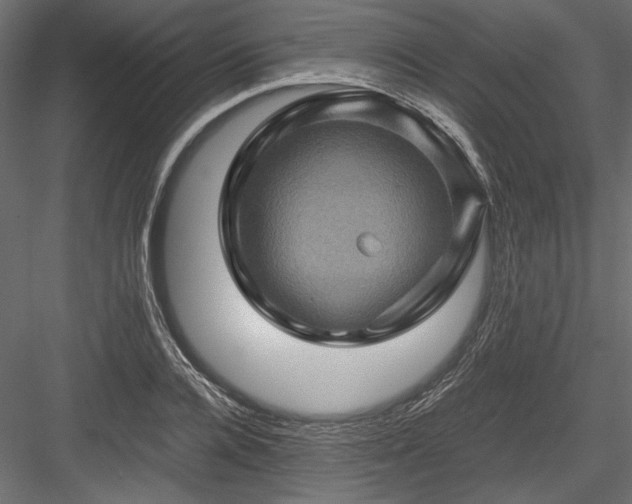 X0000084030936200702232254