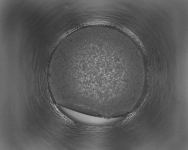 X0000084030937200702232254