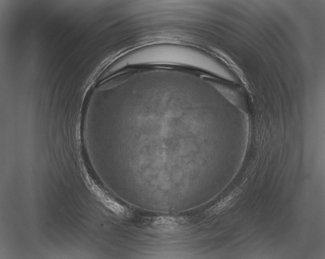 X0000084030938200702232254