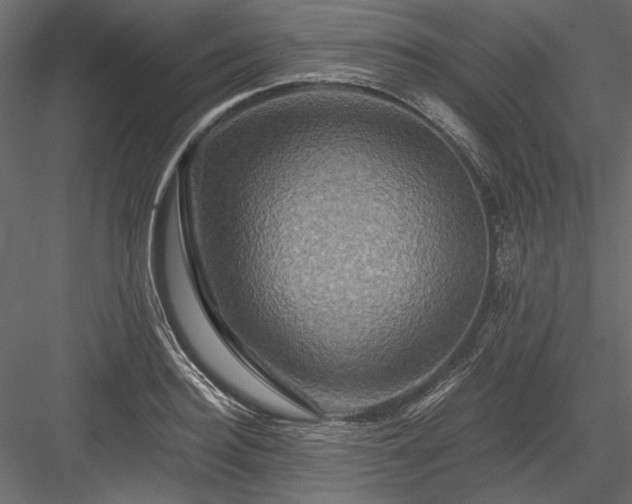 X0000084030940200702232254