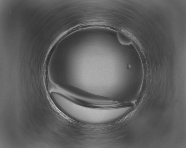 X0000084030941200702232254