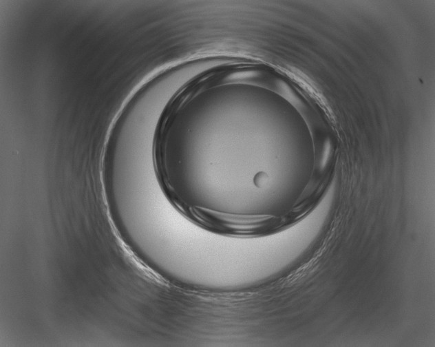 X0000084030942200702232254