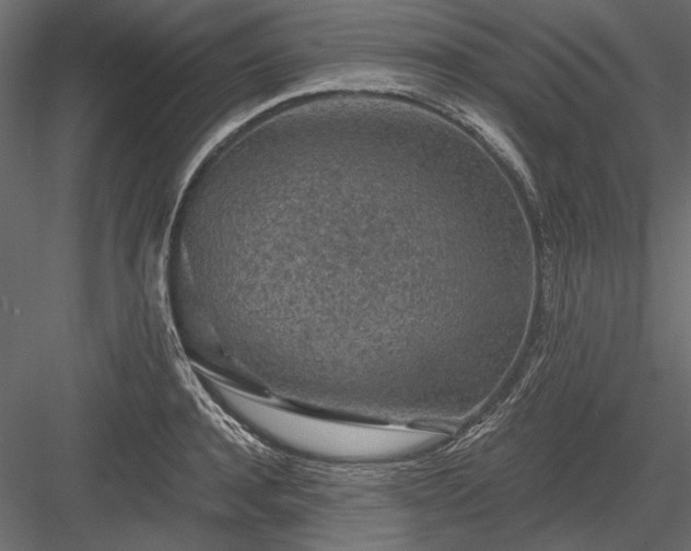 X0000084030944200702232254