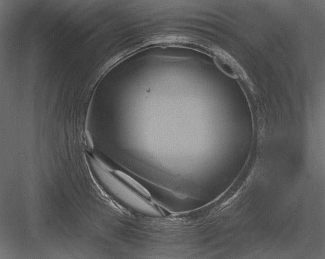 X0000084030945200702232254