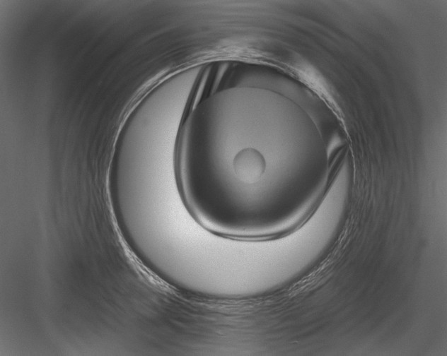 X0000084030946200702232254