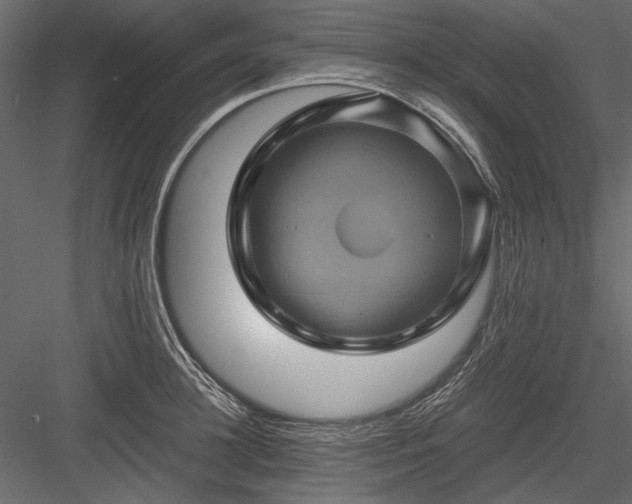 X0000084030948200702232255