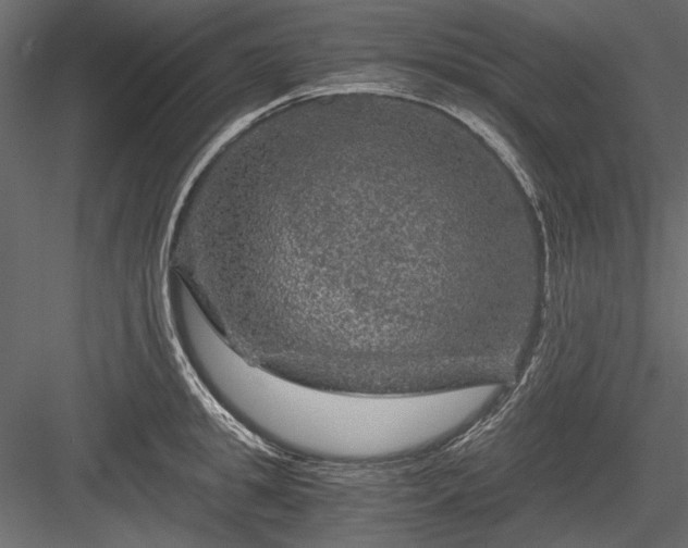 X0000084030949200702232255