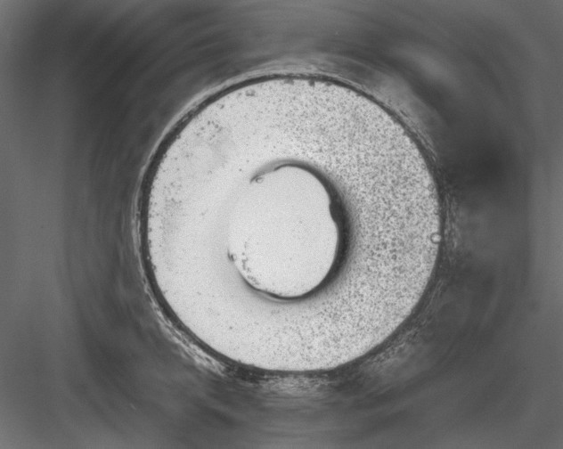 X0000084030950200702232255