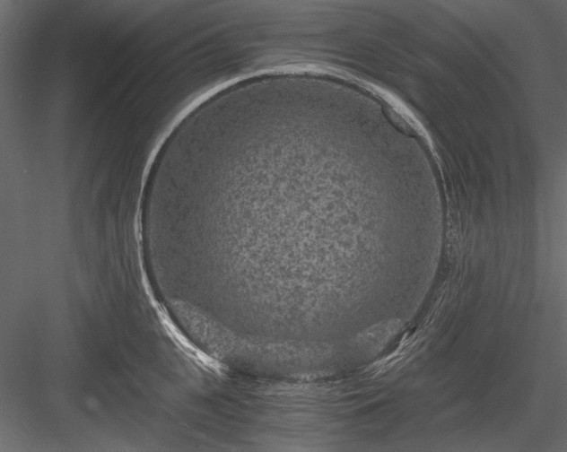 X0000084030951200702232255