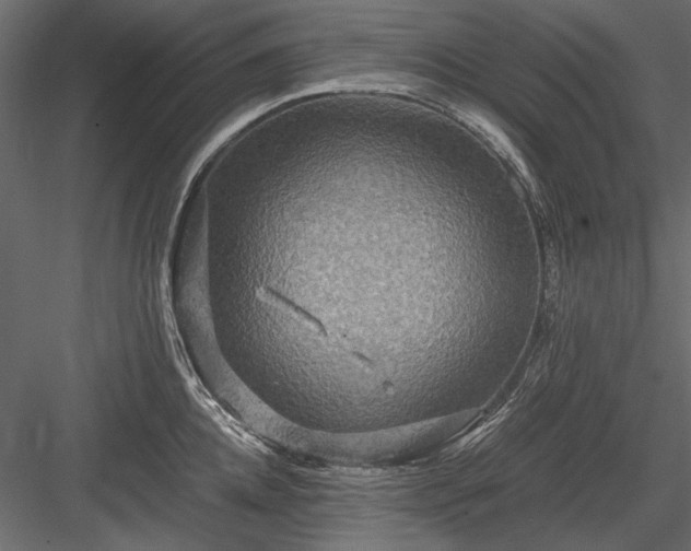 X0000084030952200702232255