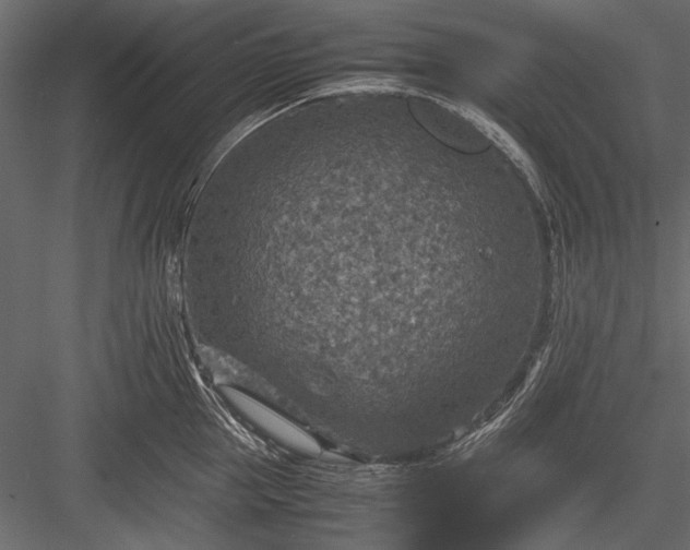 X0000084030953200702232255