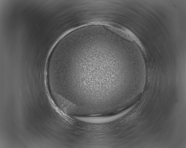 X0000084030955200702232255