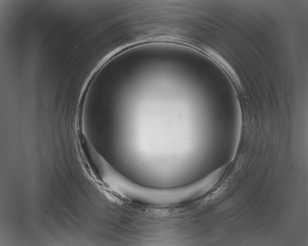 X0000084030956200702232255