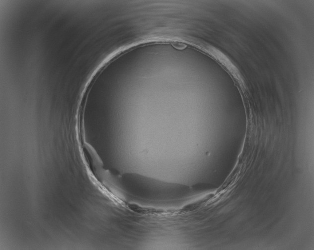 X0000084030958200702232255