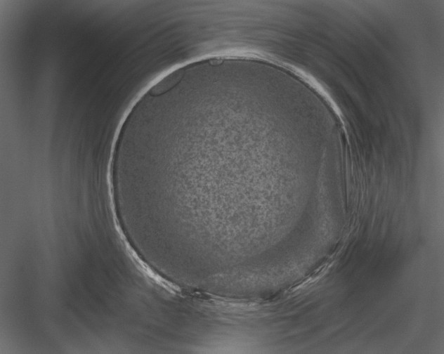 X0000084030959200702232255