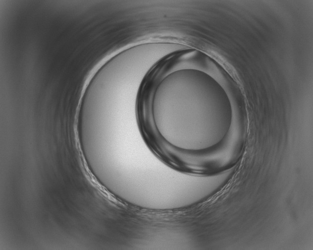 X0000084030960200702232255