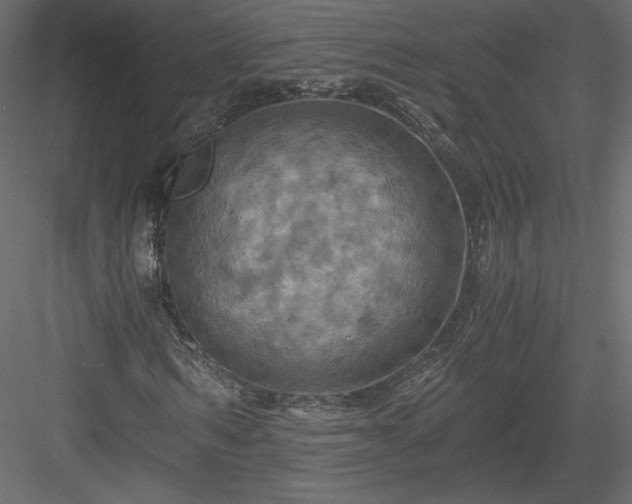 X0000084030962200702232254