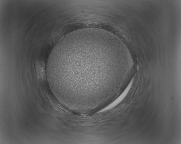 X0000084030963200702232254