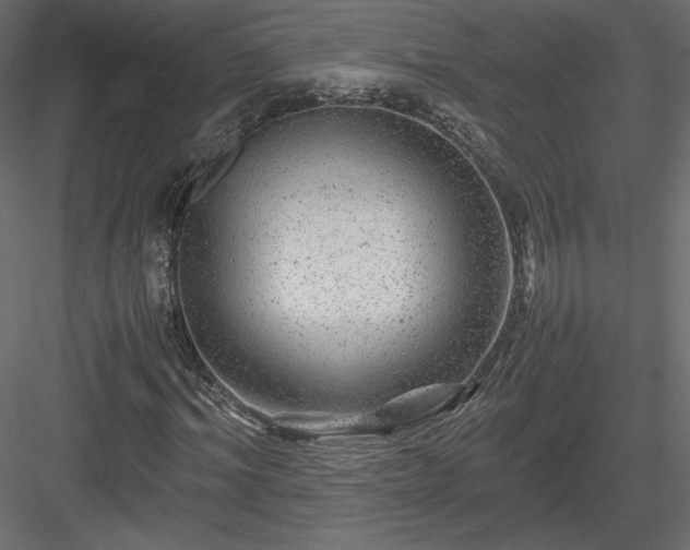 X0000084030964200702232254