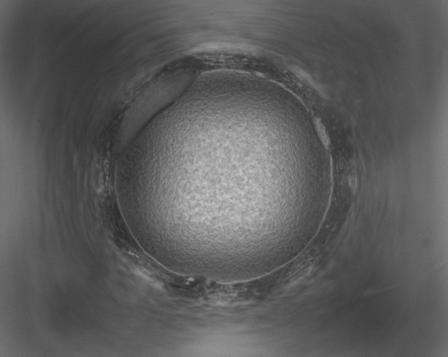 X0000084030965200702232254