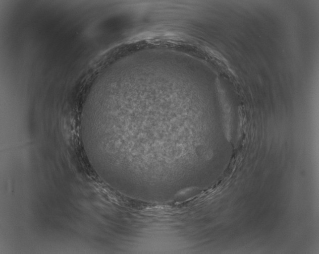 X0000084030966200702232254