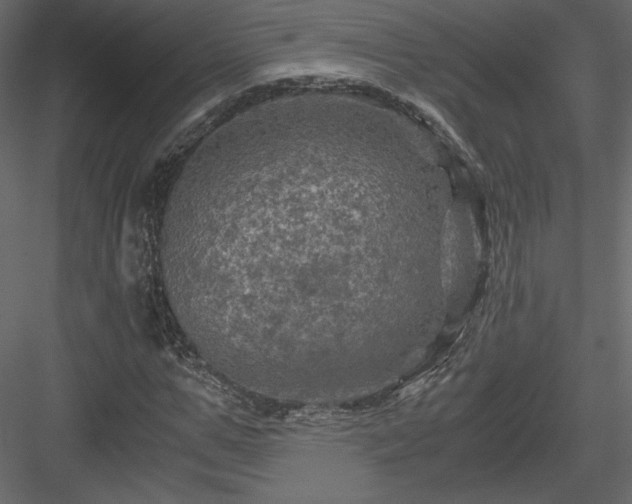 X0000084030967200702232254