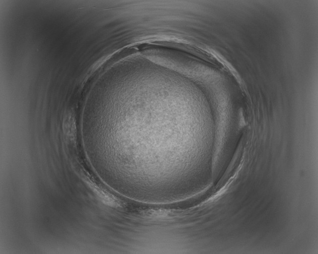 X0000084030969200702232254