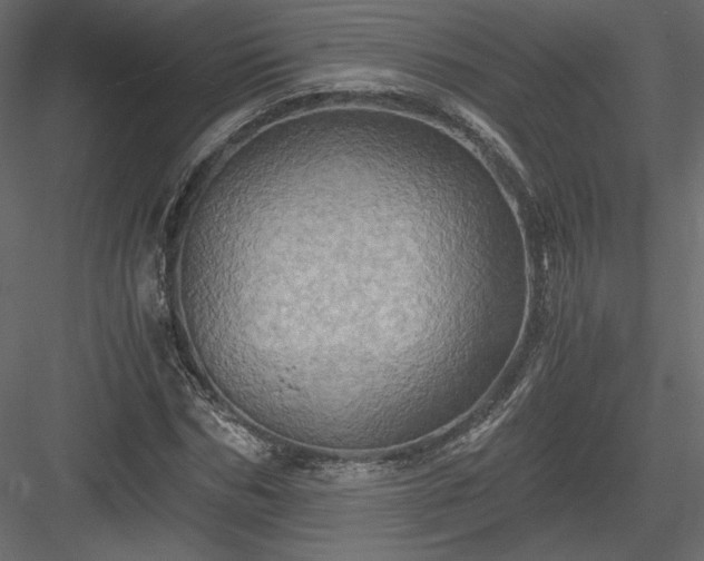 X0000084030970200702232254