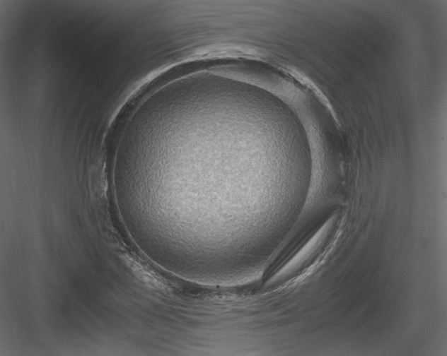 X0000084030973200702232254