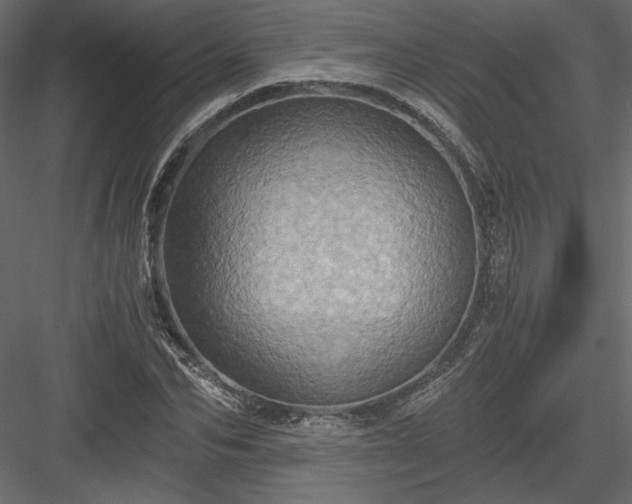 X0000084030974200702232254