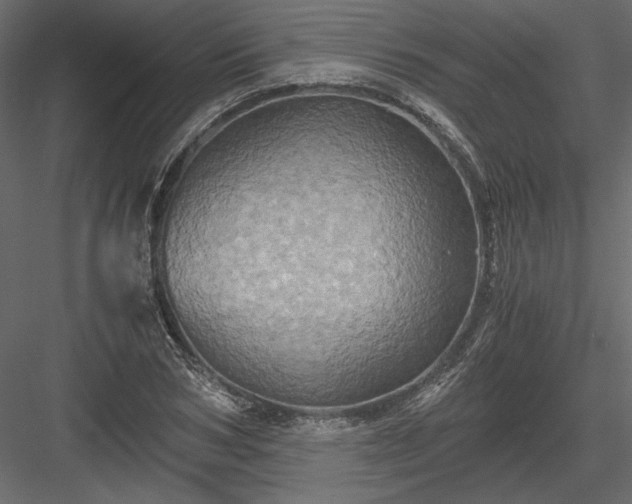 X0000084030978200702232254