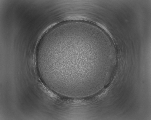 X0000084030979200702232254