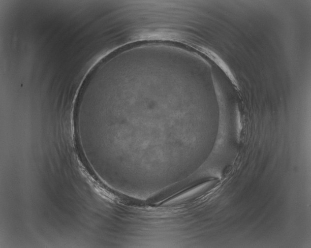 X0000084030980200702232254