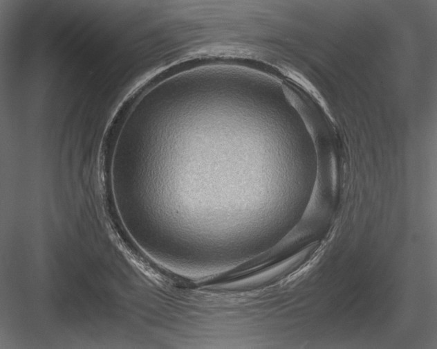 X0000084030981200702232254