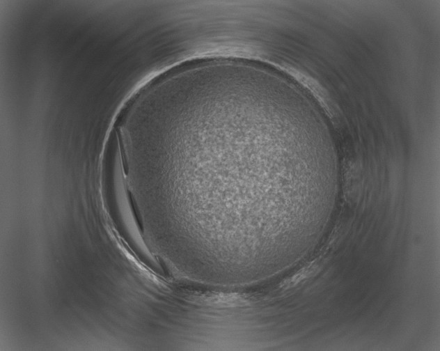 X0000084030982200702232254