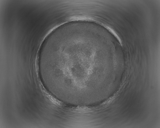 X0000084030983200702232254