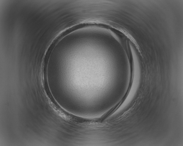 X0000084030984200702232254