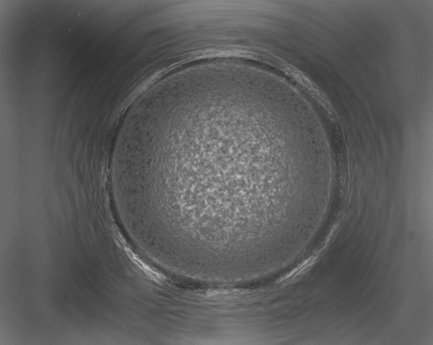 X0000084030985200702232254