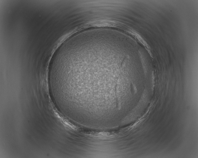 X0000084030986200702232253